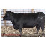 RAB-GAR MS OBJECTIVE 4669Y