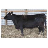 RAB MS FINAL ANSWER 4723Z