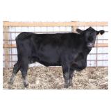 CHAIR ROCK COMPLETE 1051