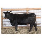 CHAIR ROCK 5050 G A R 1060