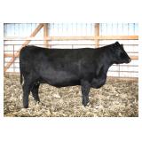 RAB MS COMPLETE 896Z