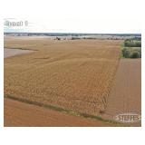 Lee County, IA Land Auction - 245.33 Surveyed Acres, 4 Tracts