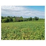 Washington County Iowa Land Auction