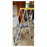 painting ladder