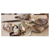 Turkey decoys