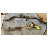 Mountaineer compound bow and case