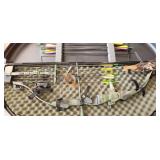 compund bow and case