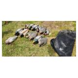 plastic duck decoys