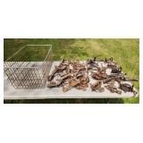 traps and crate