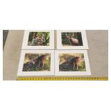 matted wildlife picures