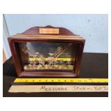 Life Cycles of Mayfly shadow box