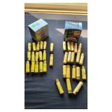 20g shells, some steel shot