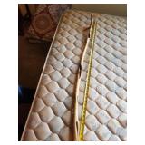 walking stick