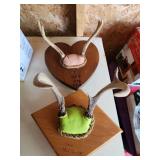 antlers