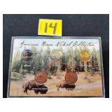 American Bison nickel collection