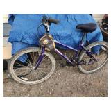 Raleigh M-20 women