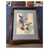 Solberg framed wood duck print, 19.5 X 23.5