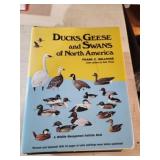 3 assorted duck theme books