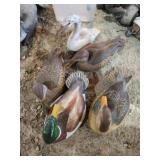 5 assorted wooden duck decoys