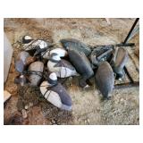 11 plastic floating duck hunting decoys