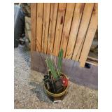 Assorted ice fishing rods and tip-ups