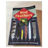 A guide to North American species bird feathers