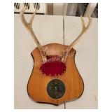 6-point whitetail deer mounted antlers