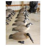 10 full body Canadian geese decoys, comes with 10 full body Canadian geese decoys, comes with