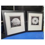 Two modern Mark Baker framed flower picture Two modern Mark Baker framed flower picture