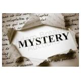MYSTERY LOT - READ DESCRIPTION BEFORE BIDDING!