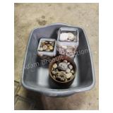 Miscellaneous polished stones and seashells