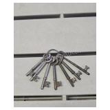 7 Vintage Cast Iron Skeleton Keys on