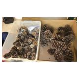 Pinecones Craft Lot Large Bin Box Pinecones