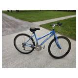 Roadmaster Mount Fury mountain bike with high and