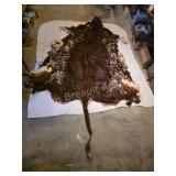 Watusi full animal hide.