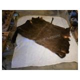 Partial American bison animal hide