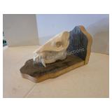 Wild boar skull on custom wooden placard