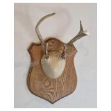 Whitetail deer antlers with custom wooden plaque