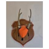 Whitetail deer antlers with custom wooden plaque