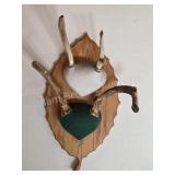 Whitetail deer antlers with custom wooden plaque