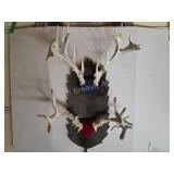 2 sets Farm-Raised white tail deer antlers with