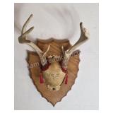 Whitetail deer antlers with custom wooden plaque