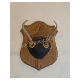 Whitetail deer antlers with custom wooden plaque