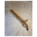 Coyote full hide