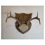 Whitetail deer antlers with custom wooden plaque