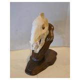 Javelina skull and stand