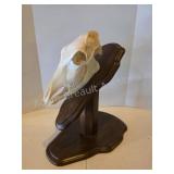 Wild boar skull and stand