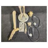 Celebrex skeleton, and stethoscope