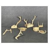 Deer Antlers
