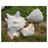 Sea shell lawn decoration